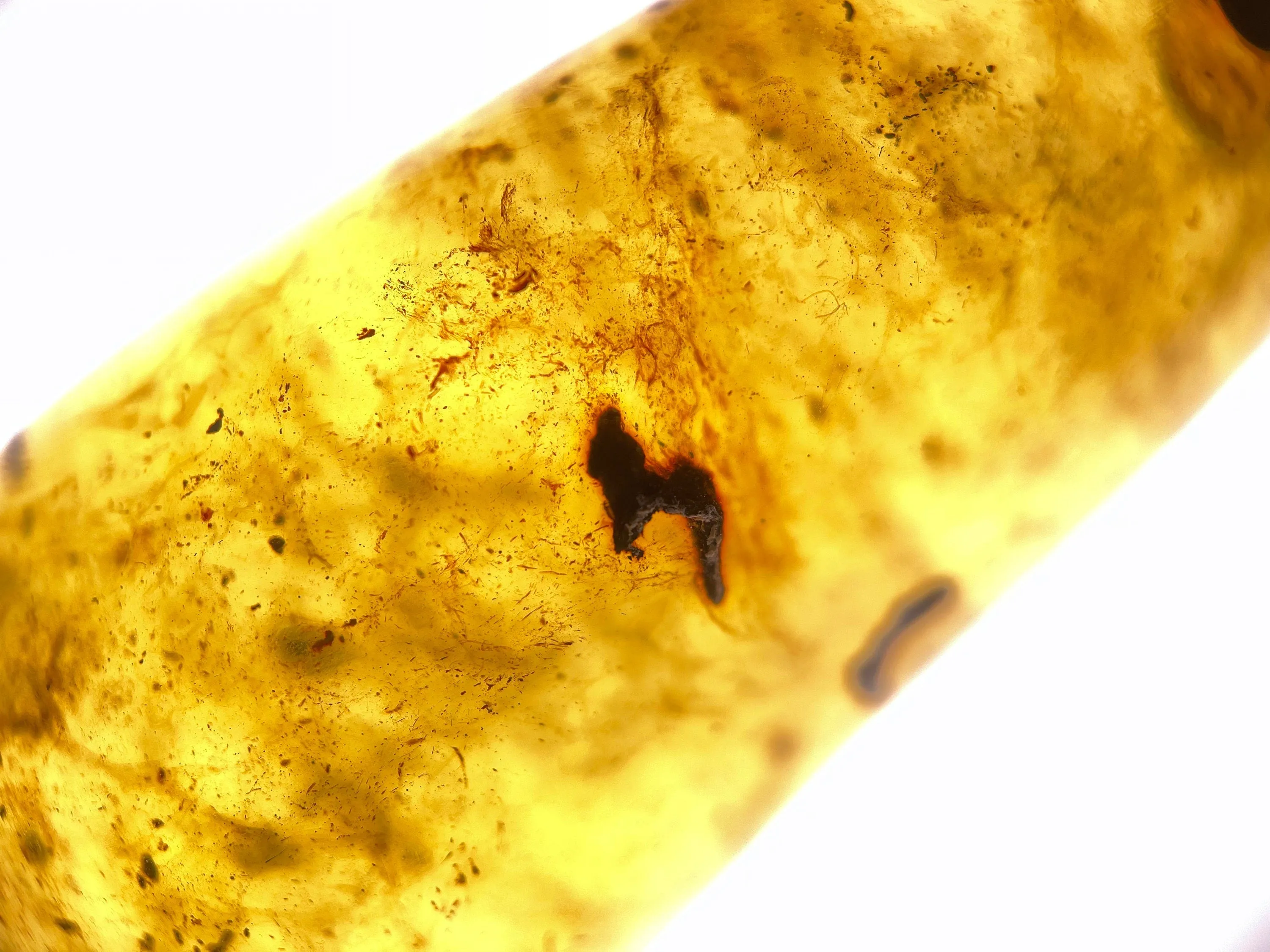 AMBER Crystal Necklace - Pendant Necklace, Handmade Jewelry, Healing Crystals and Stones, 48551