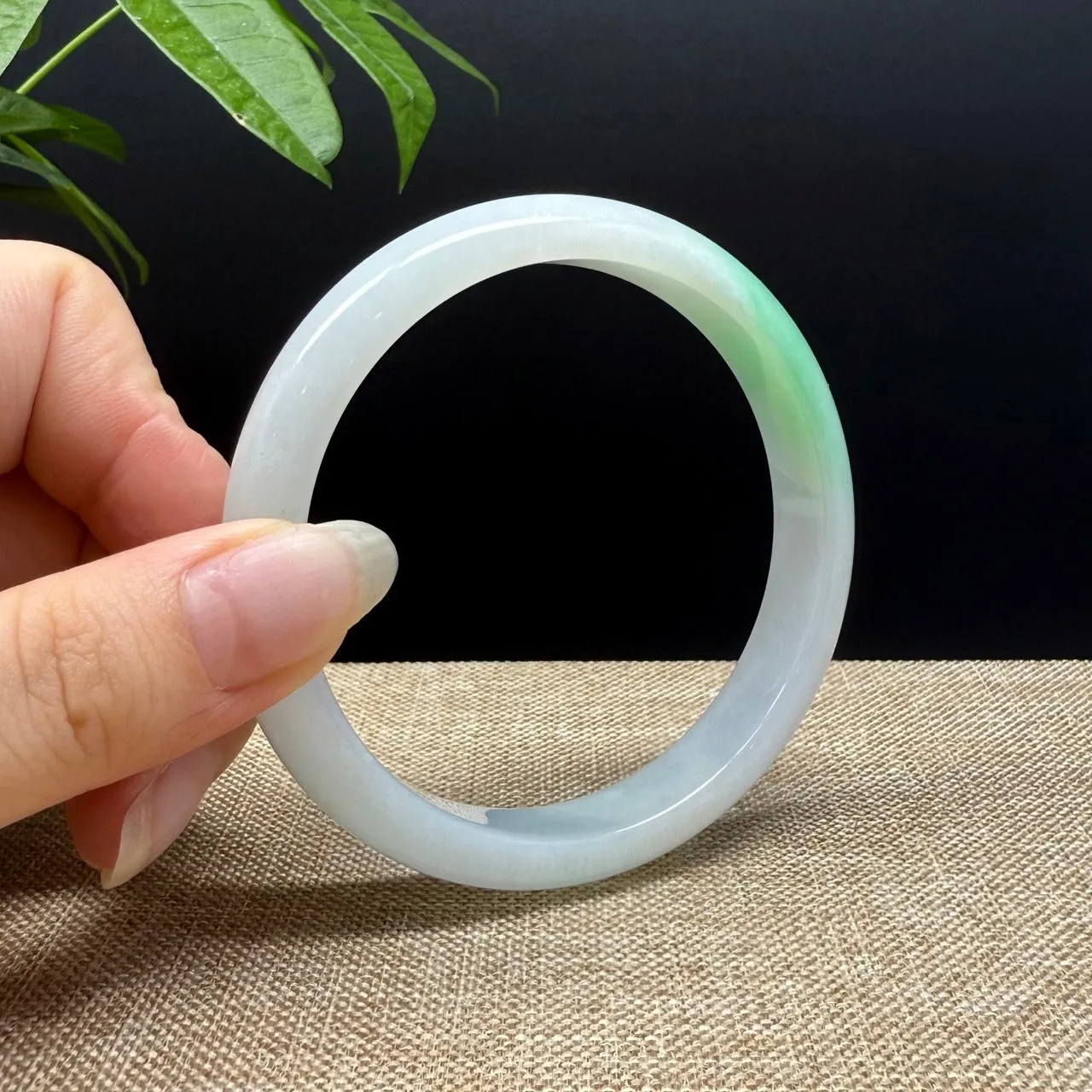 Genuine Burmese White Green Jade Jadeite Bangle Bracelet ( 62mm )