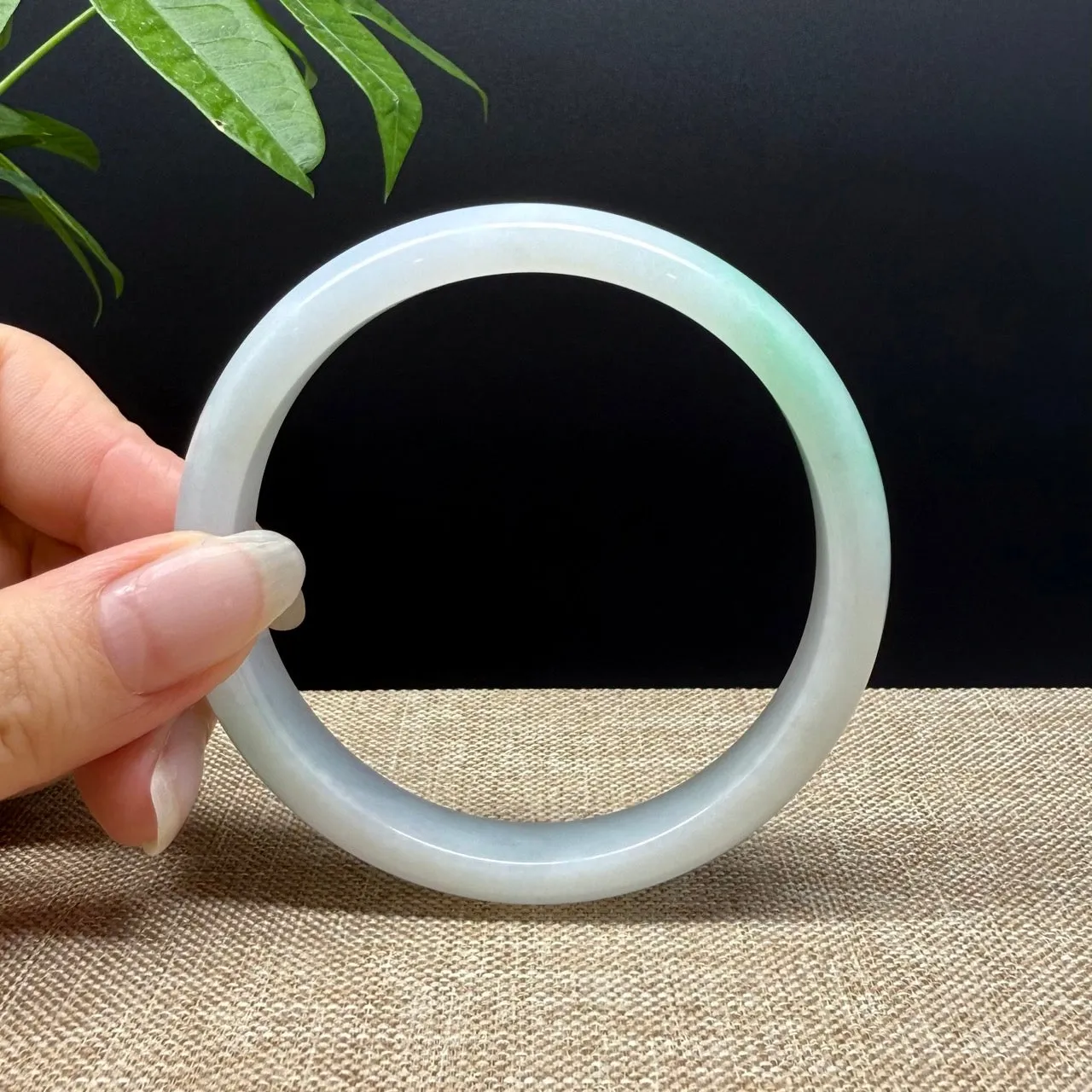 Genuine Burmese White Green Jade Jadeite Bangle Bracelet ( 62mm )