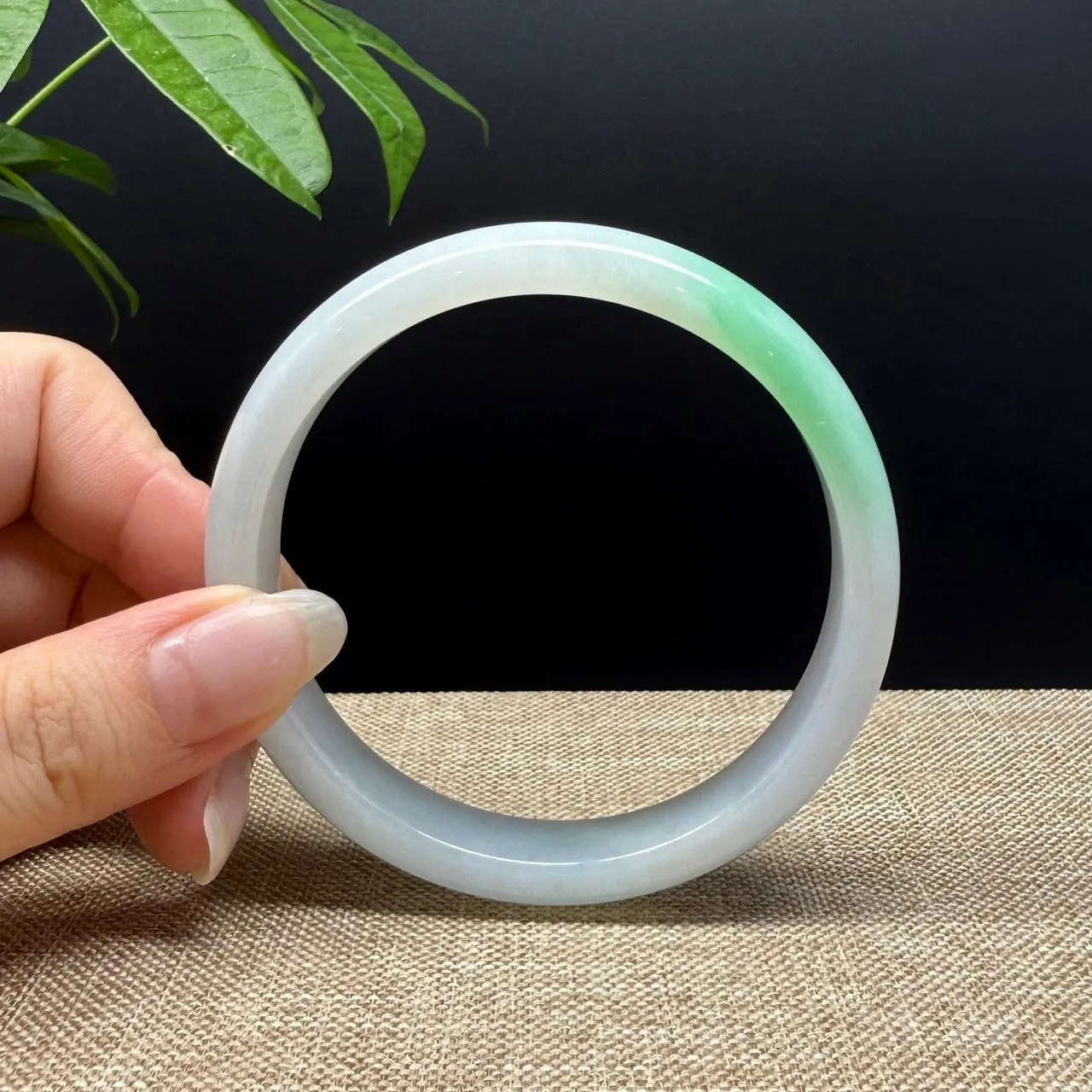 Genuine Burmese White Green Jade Jadeite Bangle Bracelet ( 62mm )
