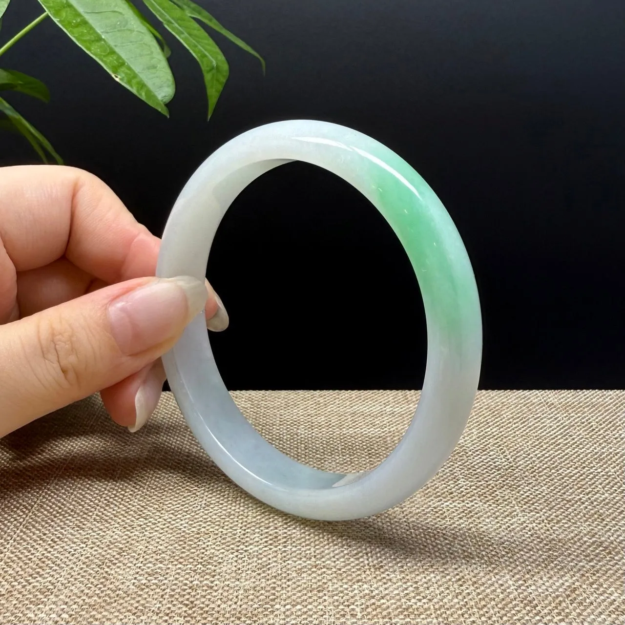 Genuine Burmese White Green Jade Jadeite Bangle Bracelet ( 62mm )