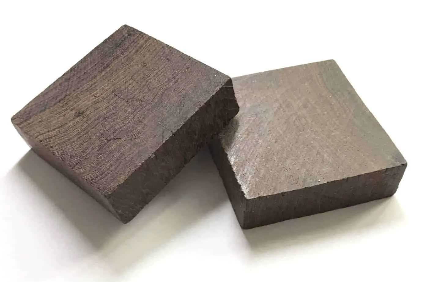 Panga Panga Ring Blanks