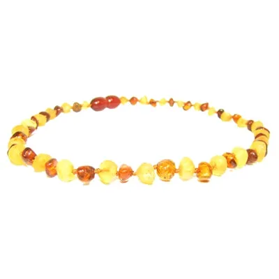 The Amber Monkey- Raw Lemon Polished Cognac POP 12-13”